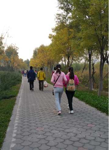 图片1.jpg