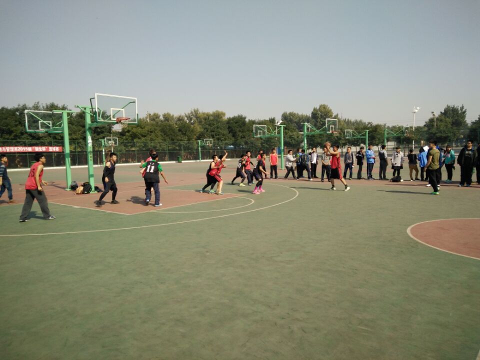 223329a909cf9d0c.jpg